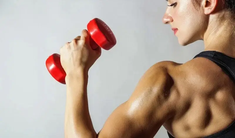 Benefícios das atividades de musculação para tratar varizes Benefícios das atividades de musculação para tratar varizes