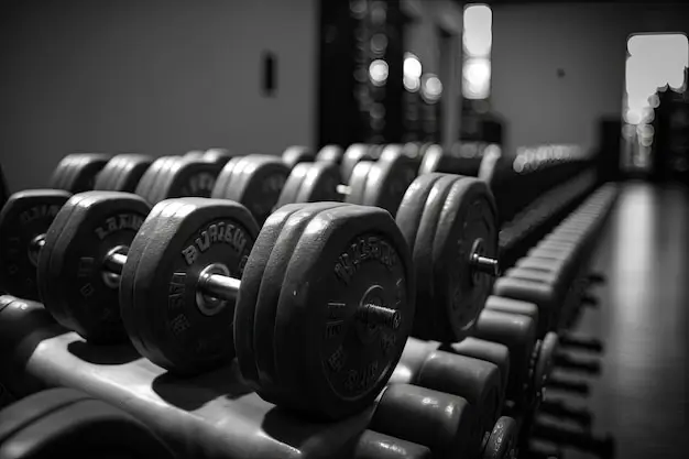 Como fazer musculação trapezio Como fazer musculação trapezio