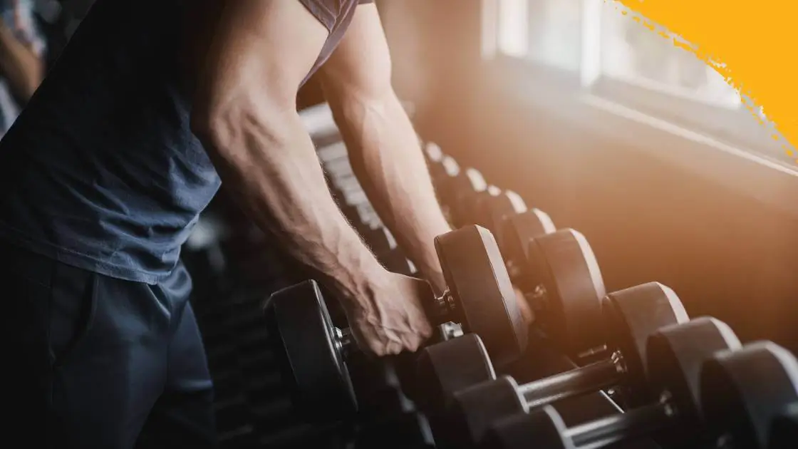 Exercícios básicos com halteres para iniciantes Exercícios básicos com halteres para iniciantes