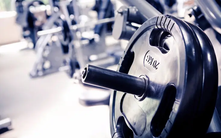 Exercícios Recomendados para Praticar Musculação na Gravidez Exercícios Recomendados para Praticar Musculação na Gravidez
