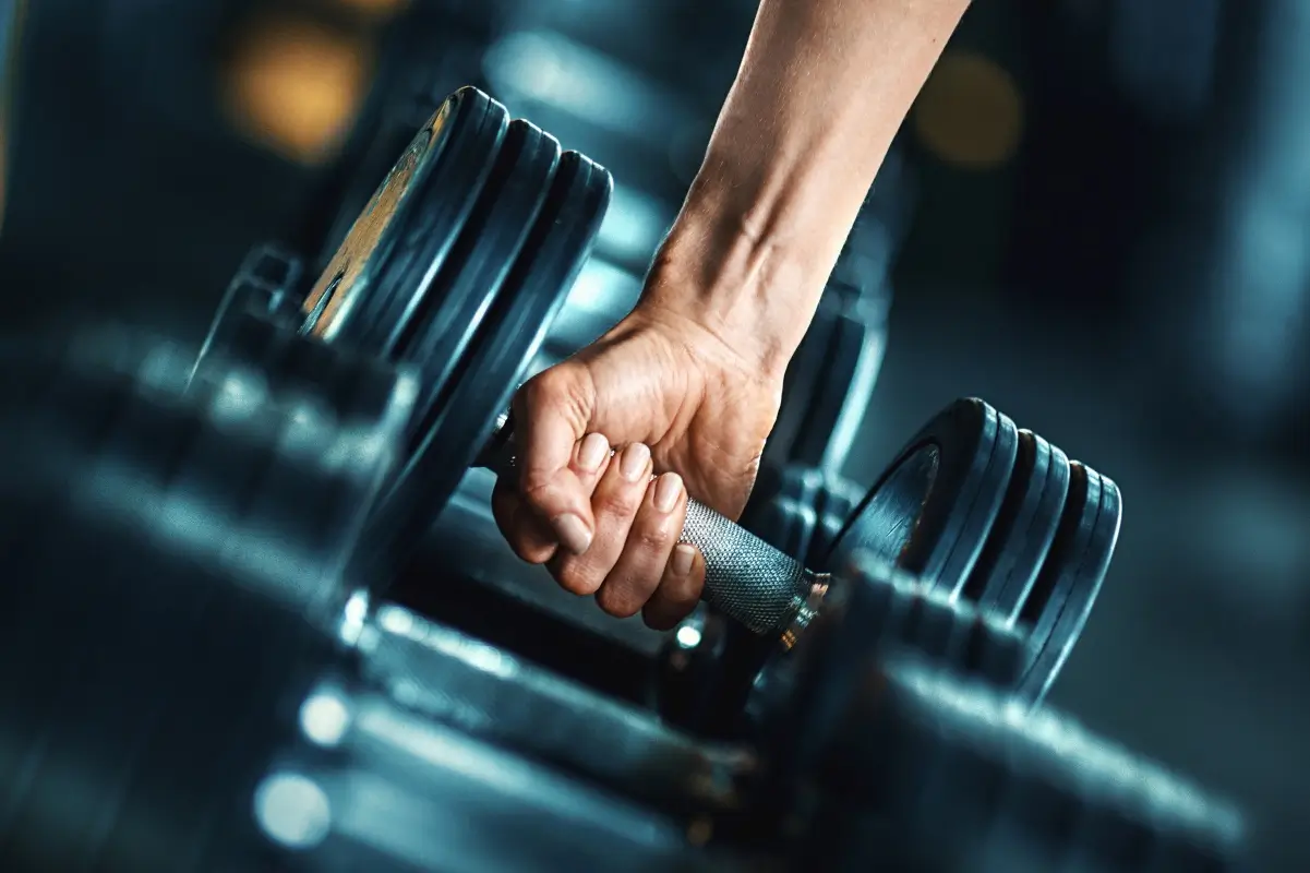 O Que é Musculação? O Que é Musculação?