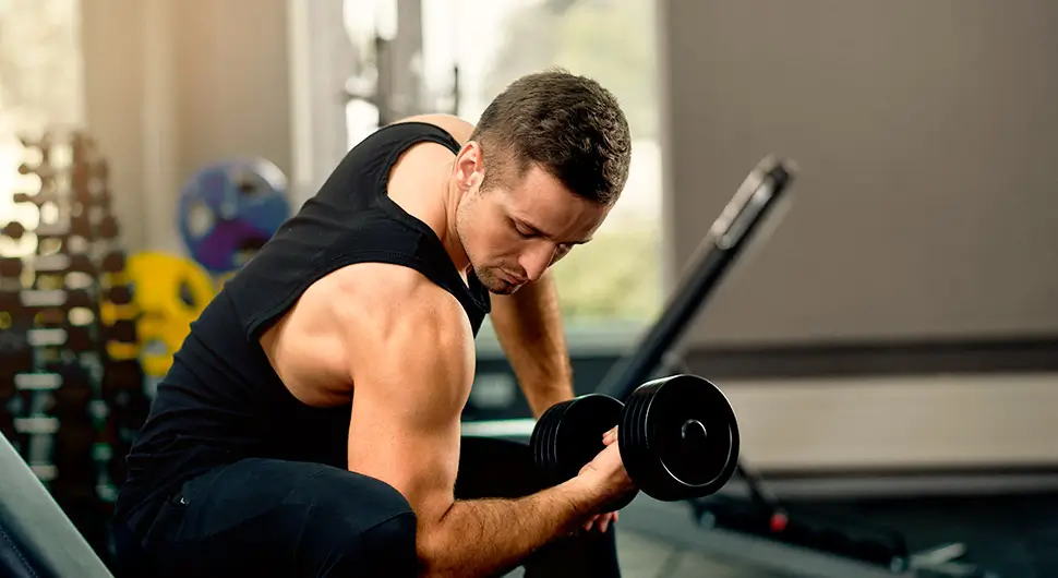 O Que É Necessário Para Começar a Praticar Musculação na Terceira Idade? O Que É Necessário Para Começar a Praticar Musculação na Terceira Idade?