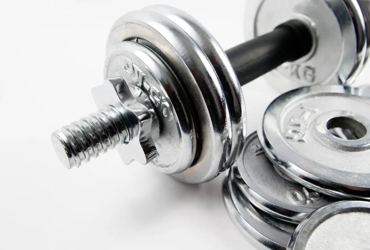 Os Melhores Exercícios para Musculação Todos os Dias Os Melhores Exercícios para Musculação Todos os Dias