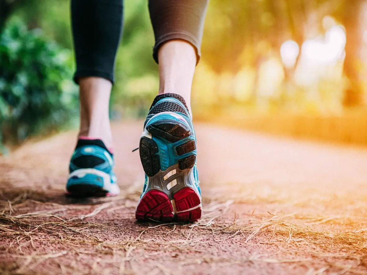 A importância de se manter hidratado e alimentado durante a caminhada em grupo A importância de se manter hidratado e alimentado durante a caminhada em grupo
