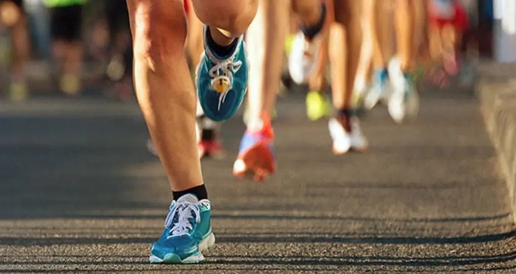 A importância do respeito ao meio ambiente durante a caminhada inglesa A importância do respeito ao meio ambiente durante a caminhada inglesa