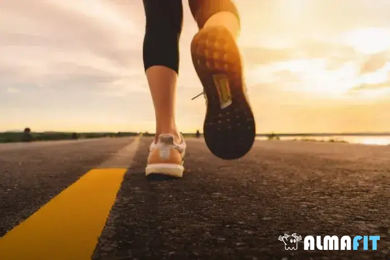 Aprenda sobre a importância histórica da Estrada Velha de Santos Aprenda sobre a importância histórica da Estrada Velha de Santos