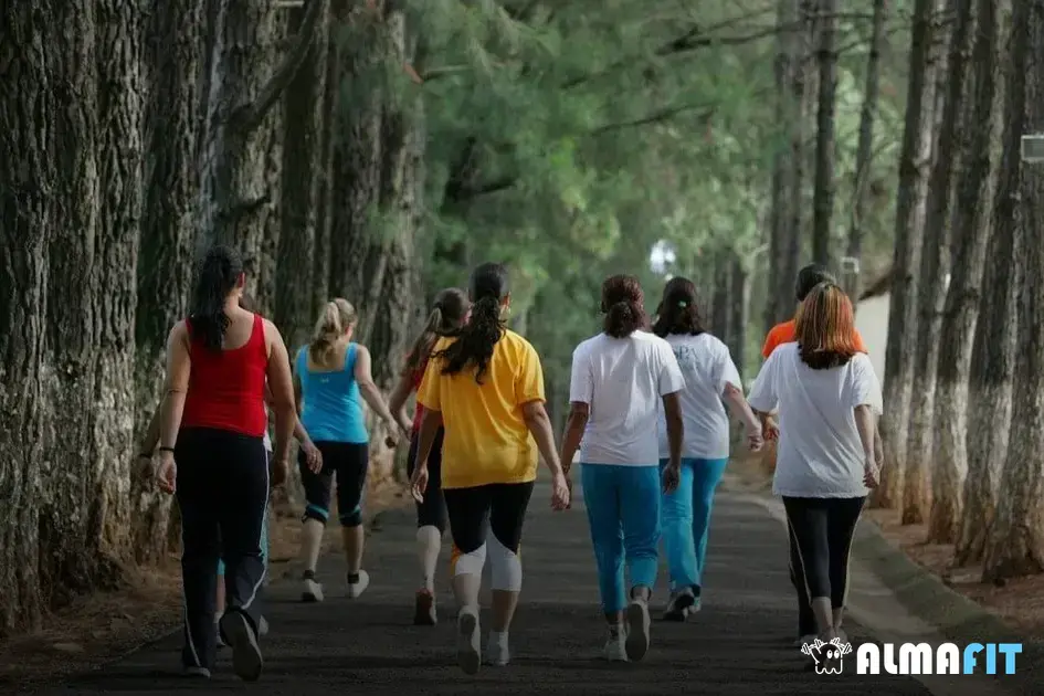 Benefícios da caminhada moderada para a saúde física e mental Benefícios da caminhada moderada para a saúde física e mental