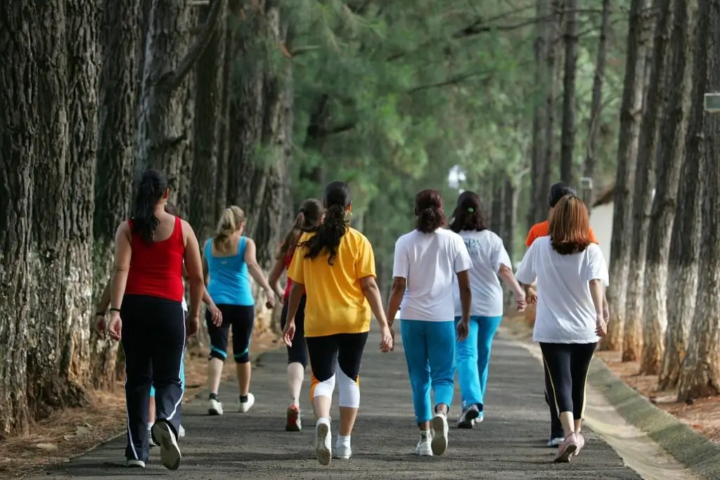 Benefícios da caminhada para a saúde física e mental Benefícios da caminhada para a saúde física e mental