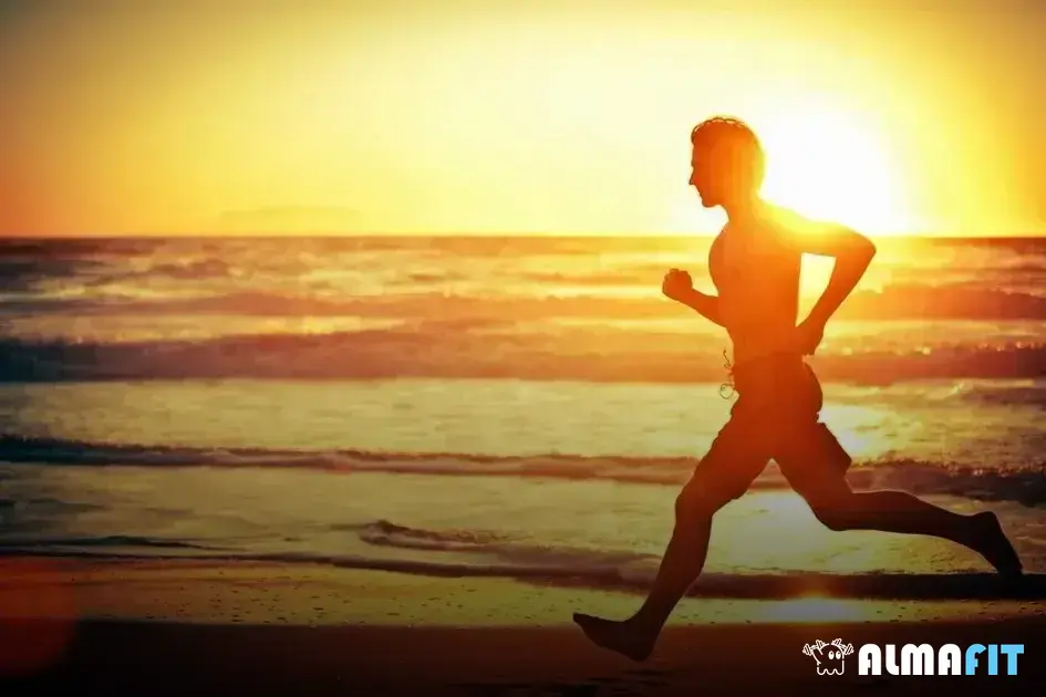 Caminhada: uma opção acessível e eficaz para quem deseja perder medidas na região da cintura Caminhada: uma opção acessível e eficaz para quem deseja perder medidas na região da cintura