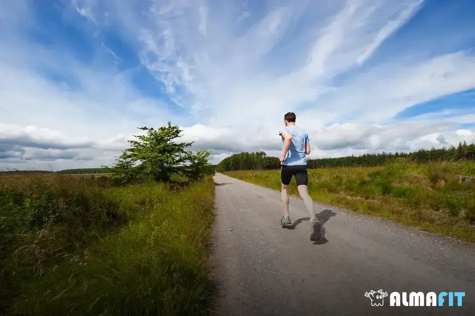 Como a caminhada moderada pode ajudar na perda de peso e manutenção da forma física Como a caminhada moderada pode ajudar na perda de peso e manutenção da forma física
