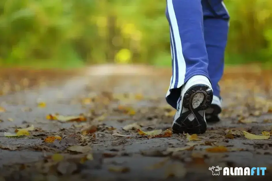 Como a caminhada pode combater a ansiedade e o estresse Como a caminhada pode combater a ansiedade e o estresse