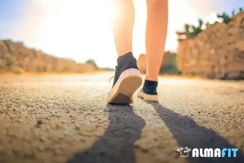 Conheça as principais atrações ao longo da Estrada Velha de Santos Conheça as principais atrações ao longo da Estrada Velha de Santos