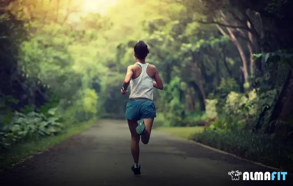 Descubra os benefícios da caminhada para o seu corpo e mente Descubra os benefícios da caminhada para o seu corpo e mente