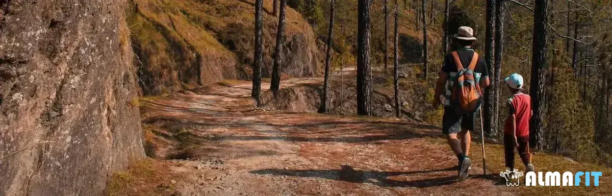 Dicas de alimentação e outros exercícios complementares para potencializar os resultados da caminhada Dicas de alimentação e outros exercícios complementares para potencializar os resultados da caminhada