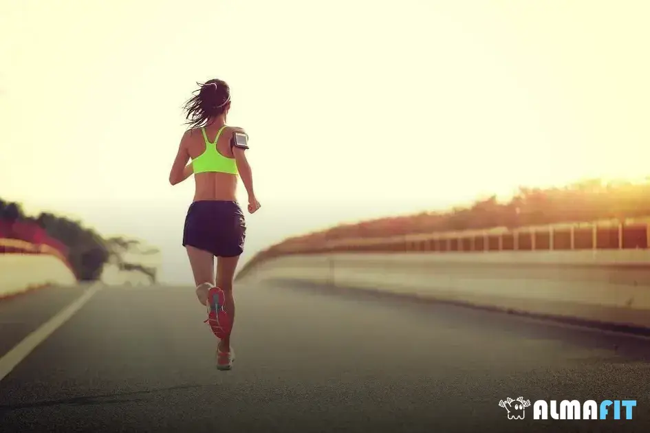 Dicas para aproveitar ao máximo a Caminhada Aparecida Dicas para aproveitar ao máximo a Caminhada Aparecida