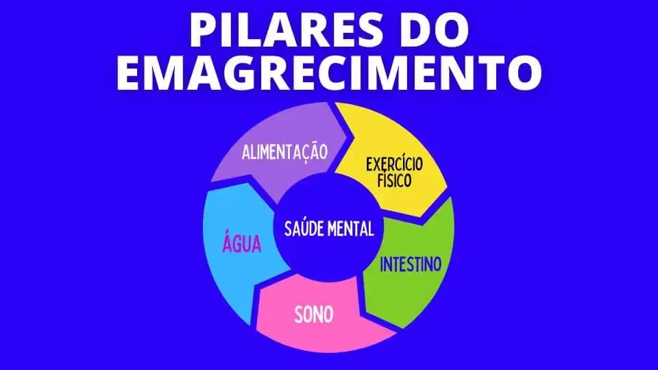 O que é dieta via enteral? O que é dieta via enteral?