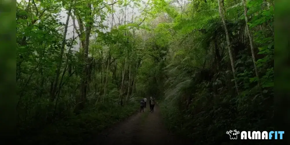 Orientações para quem tem problemas de saúde e deseja fazer uma caminhada de 10km com segurança Orientações para quem tem problemas de saúde e deseja fazer uma caminhada de 10km com segurança
