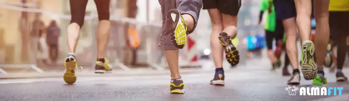 Os cuidados necessários durante uma caminhada/trilha: hidratação, alimentação e proteção contra insetos Os cuidados necessários durante uma caminhada/trilha: hidratação, alimentação e proteção contra insetos