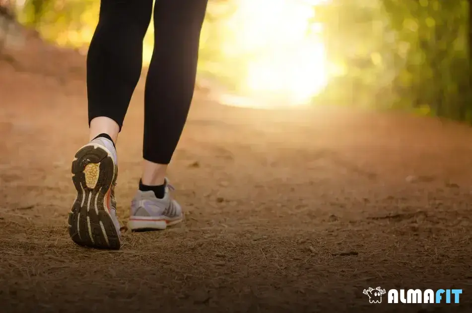 Os efeitos positivos da caminhada leve no sistema cardiovascular Os efeitos positivos da caminhada leve no sistema cardiovascular
