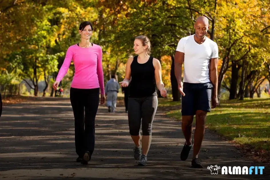 Os efeitos positivos da caminhada moderada no sistema cardiovascular Os efeitos positivos da caminhada moderada no sistema cardiovascular