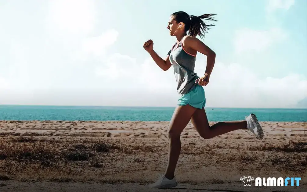 Roteiro especial: as trilhas imperdíveis da Caminhada dos Castores Roteiro especial: as trilhas imperdíveis da Caminhada dos Castores